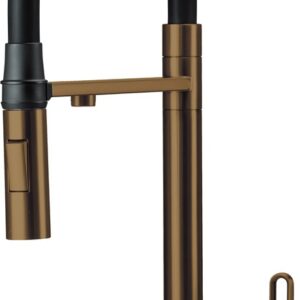 Kitchen faucet with filter and flexible spout