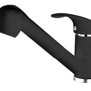 Kitchen faucet with pull-out spout