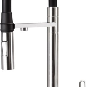 Kitchen faucet with filter and flexible spout