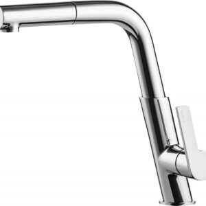 Kitchen faucet with pull-out spout