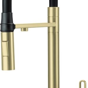 Kitchen faucet with filter & flexible spout