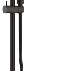 Concealed shower set with rail