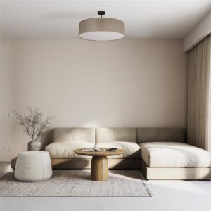 Šviestuvas lubų TK Lighting Rondo 6248, 60 W, E27 - Image 3