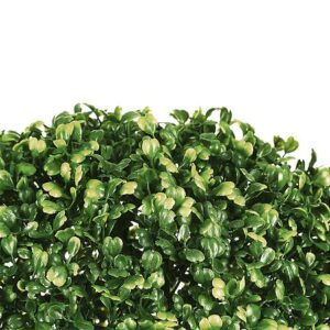 Dirbtinis augalas Atmosphera Buxus, žalia, 38 cm x 38 cm - Image 1