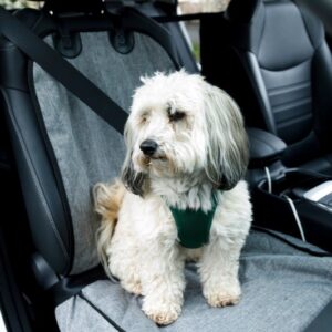 ZOLUX Nomad – apsauginis uždangalas priekinei automobilio sėdynei - Image 2