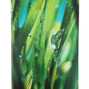 Sąsiuvinis College, A4, 70 lapų, su spirale šone, langeliais, su skirtukais - Image 2