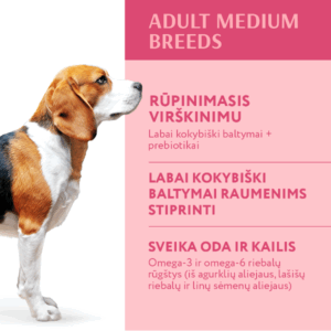 OPTIMEAL maistas vidutinių veislių šunims su kalakutiena, 4kg - Image 2