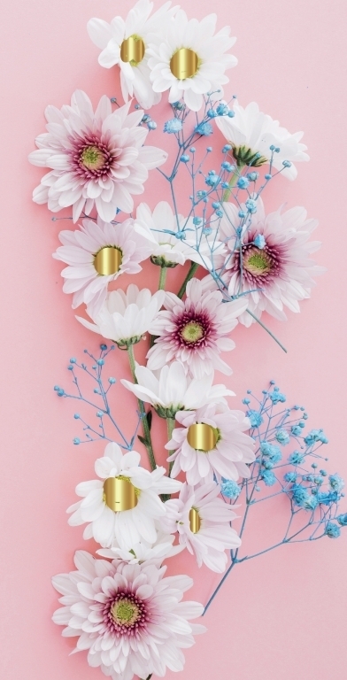 3c2584b