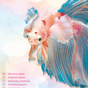 Spalvoto popieriaus rinkinys College, A4, 80g, 6 pastelinės spalvos po 10 lapų, 60 lapų