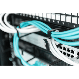 Digitus Cable Management Panel with Brush Entries for 483 mm (19") Cabinets, 1U | DN-97663 - Image 2