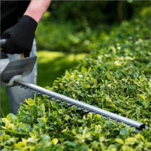 Batavia B.V. 18V Cordless Hedge Trimmer 560mm | Trimmer - Image 8