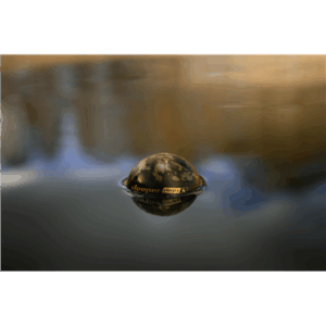 Deeper Smart Sonar Chirp+4 | Sonar | Wi-Fi | Green/Brown - Image 7