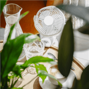 Adler Rechargeable fan with clip | AD 7335 | Table Fan | 6 W | Diameter 12.7 cm | Number of speeds 3 | Oscillation | White - Image 14