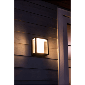 Philips Hue WCA Impress Outdoor Wall Large Lantern | 8 W | 2000-6500 Hue White Colour Ambiance - Image 6