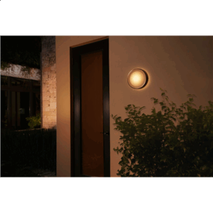 Philips Hue WCA Daylo Outdoor Wall Lantern, Inox | 15 W | 2000-6500 Hue White Colour Ambiance - Image 4