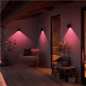 Philips Hue WCA Resonate Outdoor Downward Wall Lantern, Black | 8 W | 2000-6500 Hue White Colour Ambiance - Image 10