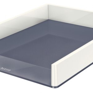 Dokumentų lentynėlė Leitz Wow Dual, A4, plastikinė, baltos/pilkos spalvos