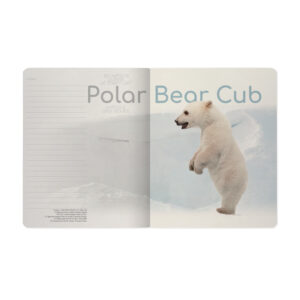 Sąsiuvinis Bruno Visconti Polar Bear Cub 3, A5, langeliais, 48 lapų - Image 4