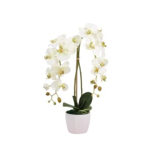 Dirbtinė orchidėja vazone, 65 cm
