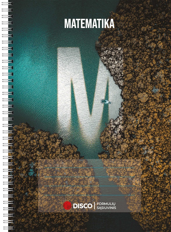 51371313