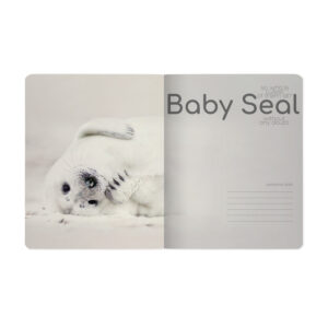 Sąsiuvinis Bruno Visconti A5,Baby Seal, 5x5 langeliais, 48 lapų - Image 2