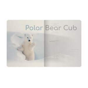 Sąsiuvinis Bruno Visconti Polar Bear Cub 2, A5, langeliais, 48 lapų - Image 2