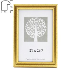 Plastikinis rėmelis Aura 1303404, A4, auksinės spalvos