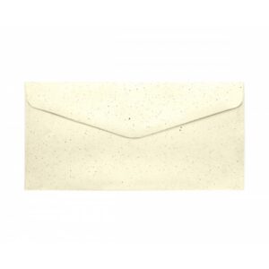 Vokai Galeri Papieru DL, Pepper cream, 120g/m2, 10vnt./pak.