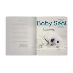 Sąsiuvinis Bruno Visconti A5,Baby Seal, 5x5 langeliais, 48 lapų - Image 4