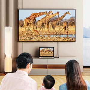 AWEI Adapteris CL-217T USB-C/HDMI black 4k/30Hz - Image 3