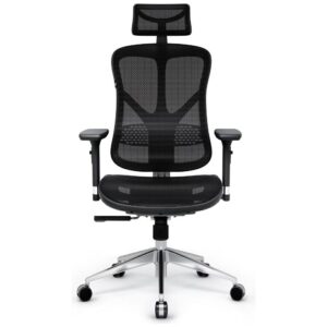 Ergonominė kėdė Diablo Chairs V-Basic juodos spalvos