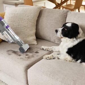 Dulkių siurblys Shark PowerDetect Cordless Pet, pilkas/violetinis, IP1251EUT - Image 2
