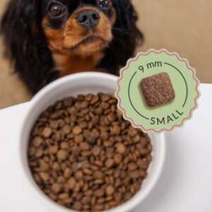 ADDVENA Boosted by superfoods Junior Small Beef - sausas maistas šunims - 2,5kg - Image 3