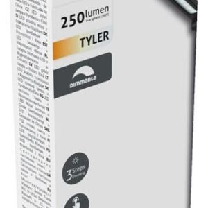 Avide ABLDL-6W-TYL-B stalinė lempa LED G Juoda - Image 3