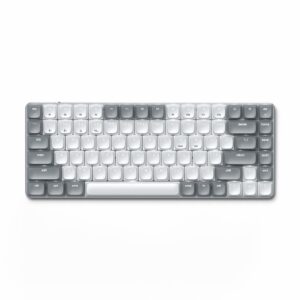 Satechi SM1 klaviatūra Biuras USB + Bluetooth QWERTY Anglų Pilka, Balta