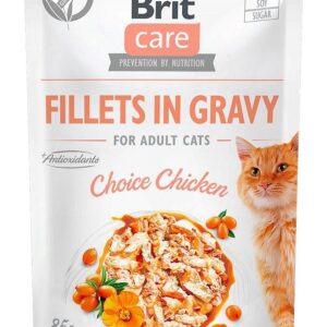BRIT Care fillets in gravy box – šlapias pašaras katei – 12x85g - Image 2