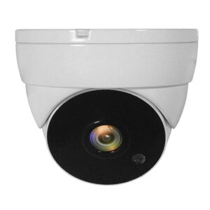 LevelOne ACS-5302 apsaugos stebėjimo kamera Skliautas CCTV stebėjimo kamera Vidaus ir lauko Lubos - Image 1
