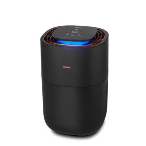 Beurer LB 300 Plus oro drėkintuvas Natūralus 3 L Vario
