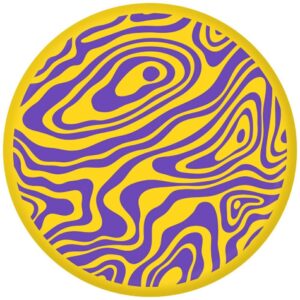 Waboba Backnine throwing disc game - Image 7