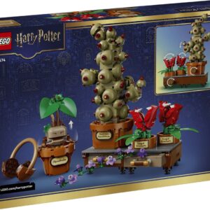 LEGO HARRY POTTER 76474 Hogwartso herbologijos augalai - Image 2