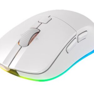 CHERRY XTRFY M50 Wireless kompiuterio pelė Žaidimams Dešinės rankos RF Wireless + Bluetooth + USB Type-C Optinis 12000 DPI - Image 2