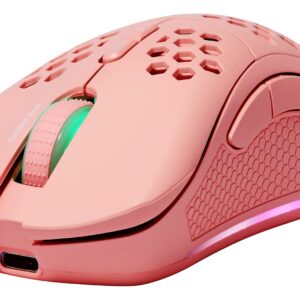 Deltaco Gaming GAM-120-P klaviatūra RF Wireless + USB Type-C Rožinė