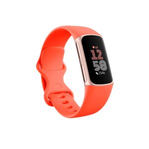Fitbit Charge 6 AMOLED Fizinio aktyvumo stebėjimo apyrankė Koralų, Auksas - Image 2