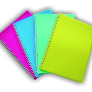Sąsiuvinis plastikiniu viršeliu A4, 96 lapai, langeliais