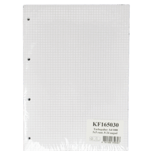Rašomasis popierius College, A4, 60g, 5x5 langeliais, su perforacija, 100 lapų