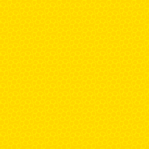 Aplankai sąsiuviniams College, 4vnt ritinyje,500x335mm