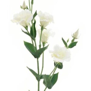 Dirbtinė gėlė, eustoma, balta, 85 cm