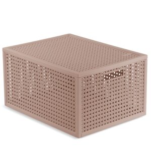 Daiktadėžė Poder Pink 20L