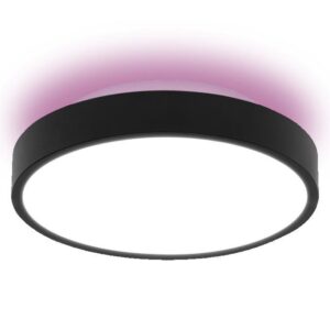 LAMP WIFI BACKLITE 25W D350 2400 - Image 3