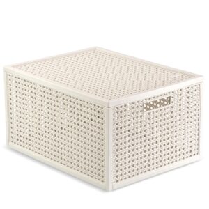 Daiktadėžė Kaya Row Linen 20L